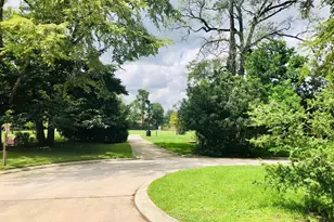 29021 Cherrywood Ln, Shenandoah, TX 77381 - Photo 25