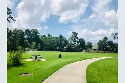 29021 Cherrywood Lane, Shenandoah, TX 77381 - Photo 29