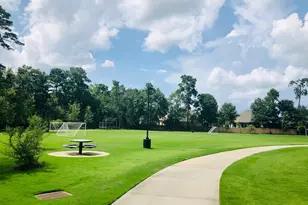 29021 Cherrywood Ln, Shenandoah, TX 77381 - Photo 29