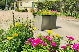 29021 Cherrywood Ln, Shenandoah, TX 77381 - Photo 35