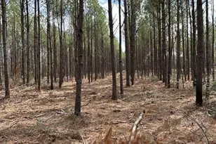 Tract 1 Lloyd Walker Rd, Huntington, TX 75949 - Photo 5