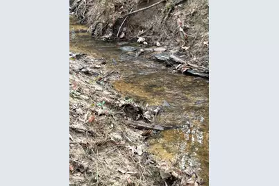 Tract 1 Lloyd Walker Road, Huntington, TX 75949 - Photo 3