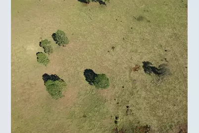 Tbd Lakeland Ranch Lot 252, Hillister, TX 77624 - Photo 13