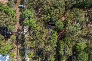 136 Warbler Ln, Livingston, TX 77351 - Photo 23