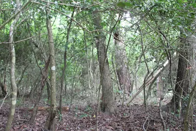 Lot 39 Tejas Trail, Grapeland, TX 75844 - Photo 19