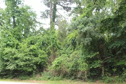 Lot 39 Tejas Trail, Grapeland, TX 75844 - Photo 15