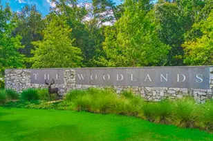 23 Frontera Cir, The Woodlands, TX 77382 - Photo 39