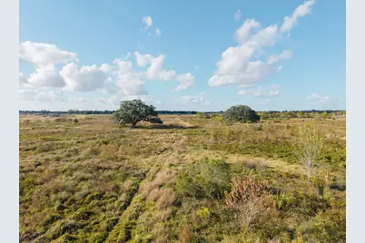 7017 County Road 100, Boling, TX 77420 - Photo 3