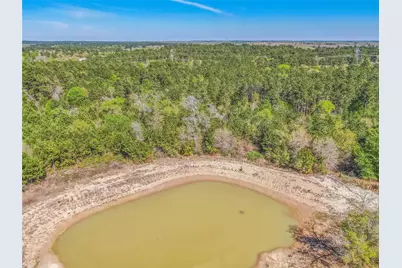 3656 Luthe Road, Bedias, TX 77831 - Photo 9