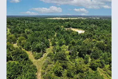 3656 Luthe Road, Bedias, TX 77831 - Photo 11