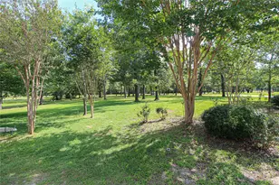 4194 Fm 3277, Livingston, TX 77351 - Photo 43