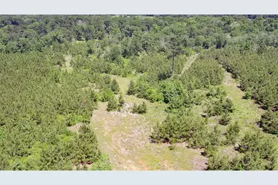 0 Robertson Road, Lovelady, TX 75851 - Photo 9