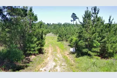 0 Robertson Road, Lovelady, TX 75851 - Photo 7