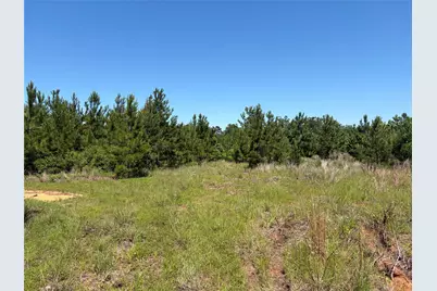 0 Robertson Road, Lovelady, TX 75851 - Photo 13