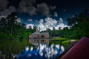 14 Heaven Tree, The Woodlands, TX 77382 - Photo 33