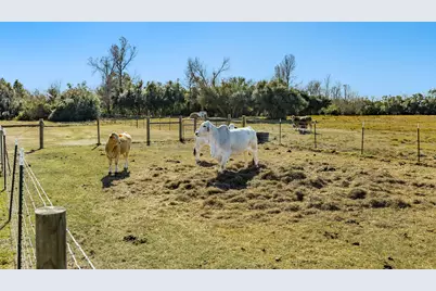 5359 County Road 397, Alvin, TX 77578 - Photo 21