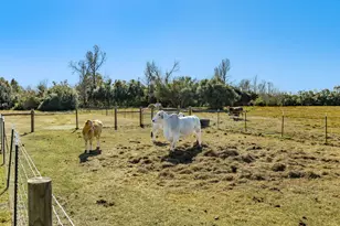 5359 County Rd 397, Alvin, TX 77578 - Photo 21