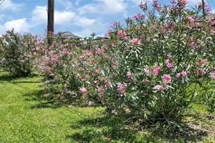 1004 8th St, Dickinson, TX 77539 - Photo 33