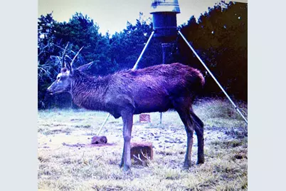 3018 County Road 3790, Lampasas, TX 76550 - Photo 25