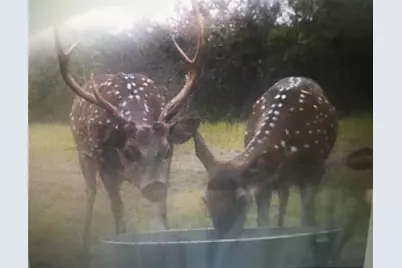 3018 County Road 3790, Lampasas, TX 76550 - Photo 21