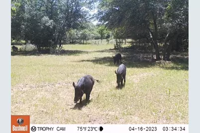 1561 County Road 154, Weimar, TX 78934 - Photo 31