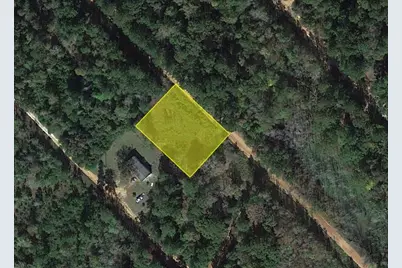 1544 Ole Long Pull Road, Livingston, TX 77351 - Photo 3