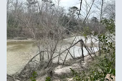 0 Redbud Drive, Conroe, TX 77302 - Photo 5