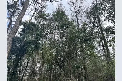 0 Redbud Drive, Conroe, TX 77302 - Photo 11