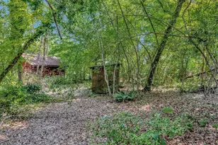 815 Co Rd 3170, Colmesneil, TX 75938 - Photo 29