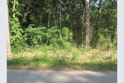 31127 Primrose Lane, Magnolia, TX 77354 - Photo 1