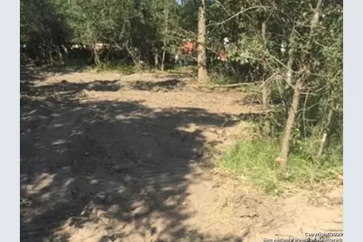 31127 Primrose Lane, Magnolia, TX 77354 - Photo 3