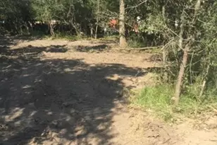 31127 Primrose Ln, Magnolia, TX 77354 - Photo 3