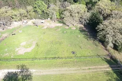 4056 Pecan Lane, Madisonville, TX 77864 - Photo 29