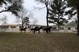 26427 1/2 Dobbin Huffsmith Rd Rd, Magnolia, TX 77354 - Photo 1