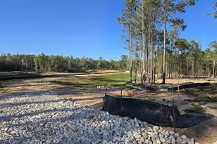 5029 Wildtree Creek S, Magnolia, TX 77316 - Photo 5