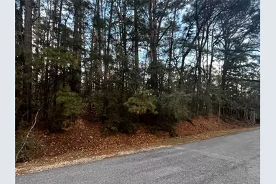 26 Sunny Hill Drive, Coldspring, TX 77331 - Photo 3