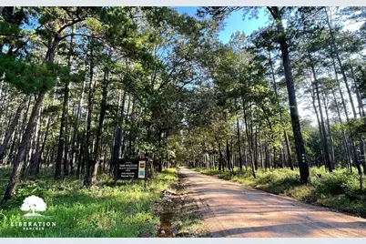 Tbd John Warren Lot 4 Road, Coldspring, TX 77331 - Photo 17