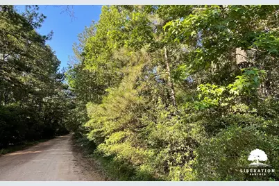 Tbd John Warren Lot 4 Road, Coldspring, TX 77331 - Photo 5