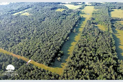 Tbd John Warren Lot 4 Road, Coldspring, TX 77331 - Photo 11