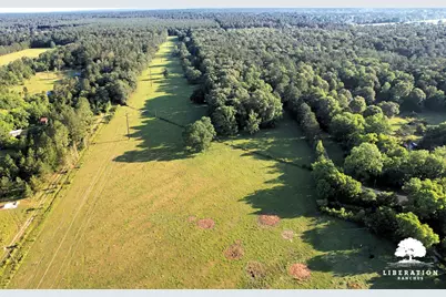 Tbd John Warren Lot 4 Road, Coldspring, TX 77331 - Photo 13