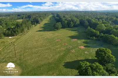 Tbd John Warren Lot 4 Road, Coldspring, TX 77331 - Photo 7