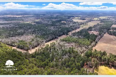 Tbd John Warren Lot 4 Road, Coldspring, TX 77331 - Photo 3