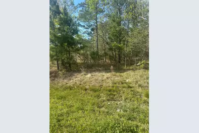 867 County Road 3415, Cleveland, TX 77327 - Photo 5