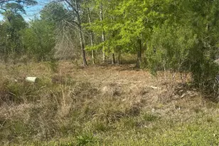 867 County Rd 3415, Cleveland, TX 77327 - Photo 1