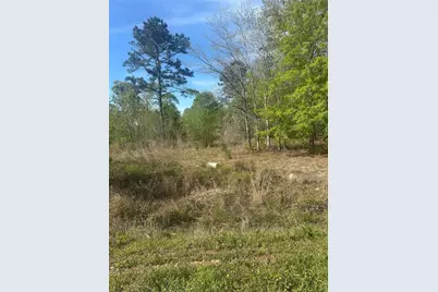 867 County Road 3415, Cleveland, TX 77327 - Photo 9