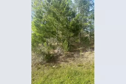 867 County Road 3415, Cleveland, TX 77327 - Photo 3