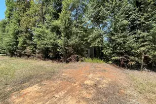 131 Somerset, Livingston, TX 77351 - Photo 1