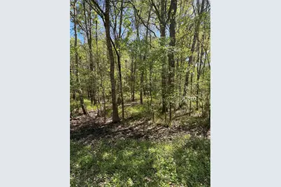 Tbd Cr 2505, Liberty, TX 77575 - Photo 3