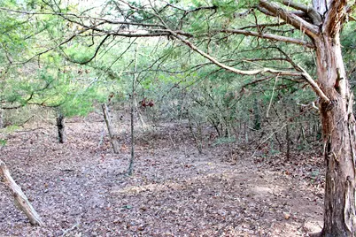 192 Plum Acres Lane, West Point, TX 78963 - Photo 37