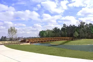 144 Greatwood Glen Ct, Montgomery, TX 77316 - Photo 39